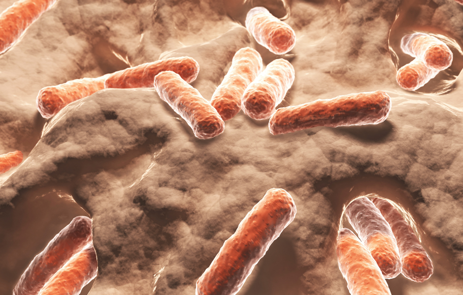 Hautmikrobiom – natürliche Schutzbarriere der Haut