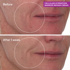 Murad HYDRATION - CELLULAR HYDRATION REPAIR CREAM