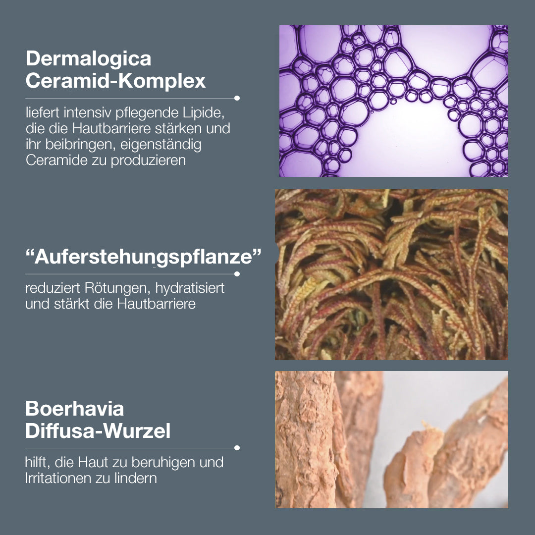 dermalogica Stabilizing Repair Cream