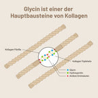 Diagramm der Kollagenstruktur mit beschrifteten Fibrillen und Dreifachhelix. Farbige Symbole markieren Glycin (blaues Quadrat), Hydroxyprolin (grüner Kreis), andere Aminosäuren (rotes Dreieck). Der deutsche Text erklärt die Rolle des Glycins. Zugehöriges Produkt: medigevity - medi Glycin Pulver.
