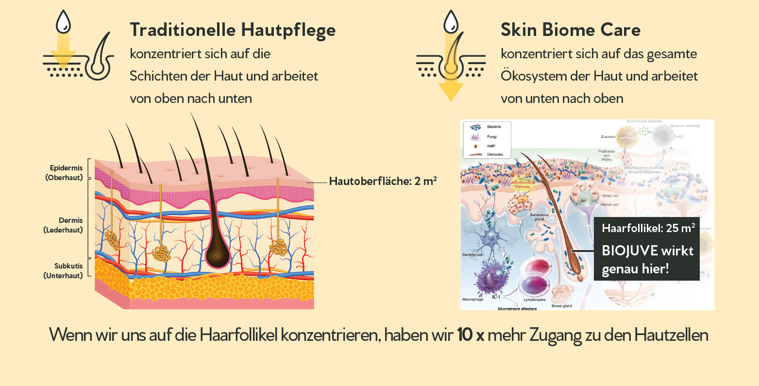 Wie funktioniert Biojuve